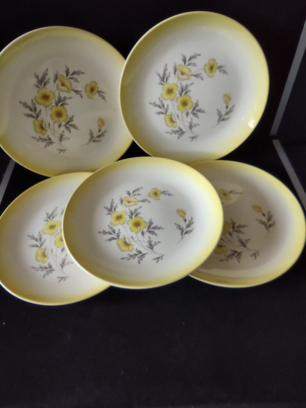 Size reference - plate measures approximately 10 inches diameter
