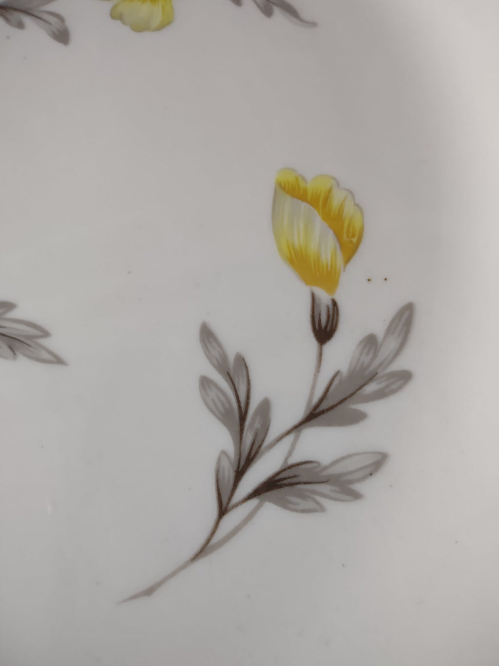 Set of 4 vintage yellow floral plates overhead view