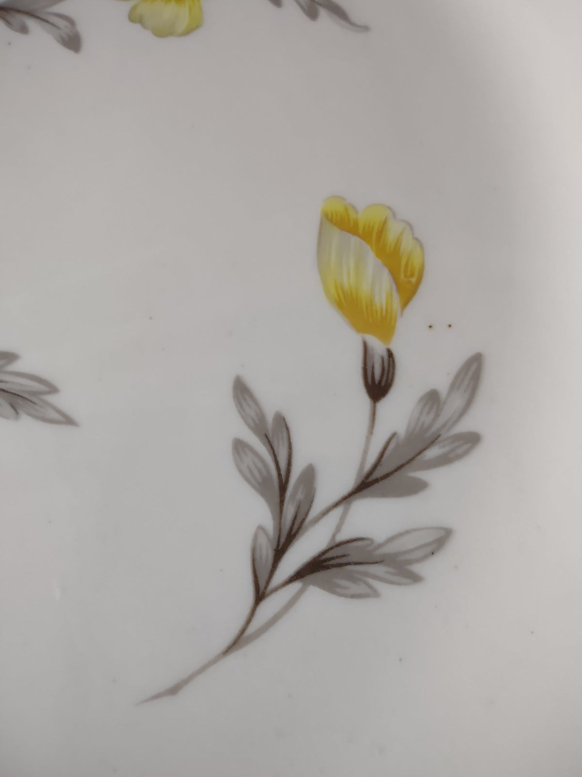 Set of 4 vintage yellow floral plates overhead view