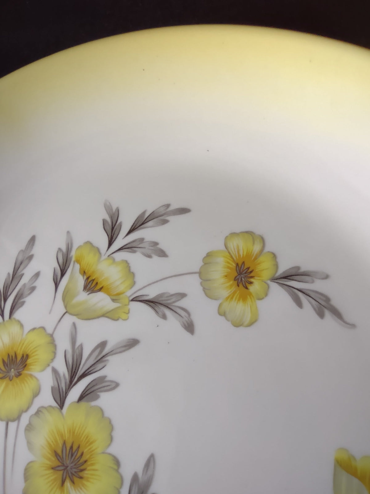 Detail of yellow border and floral center