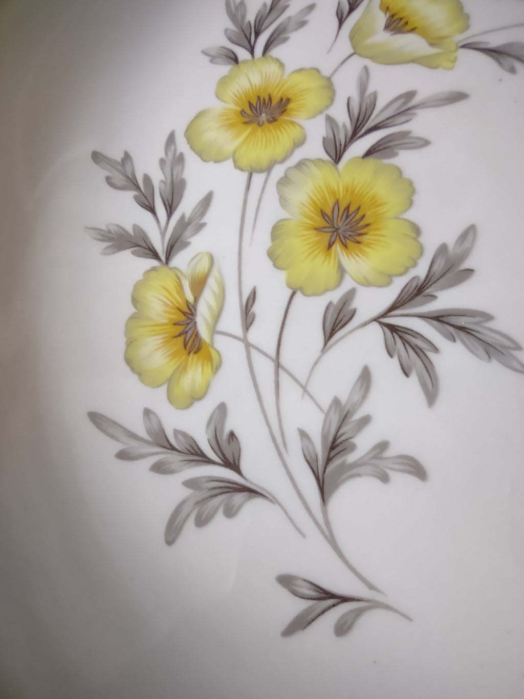 Side profile view of vintage plate
