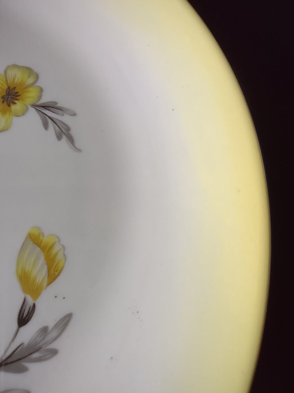 Close-up of yellow floral and gray leaf pattern detail