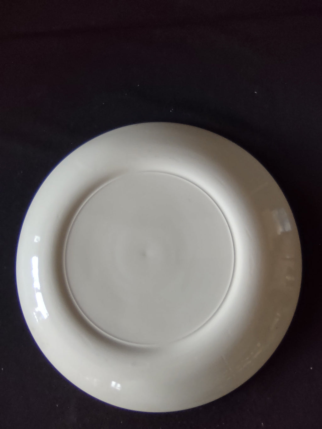Back of plate showing plain white unglazed reverse
