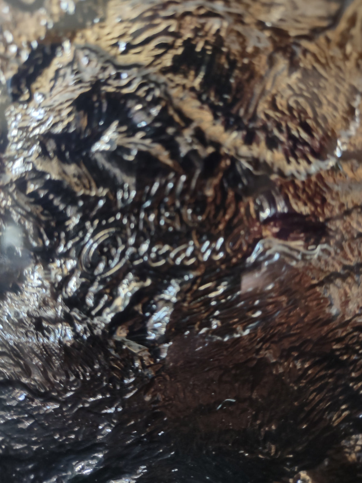 JSG Oceana bronze black art glass plate - backstamp detail close-up