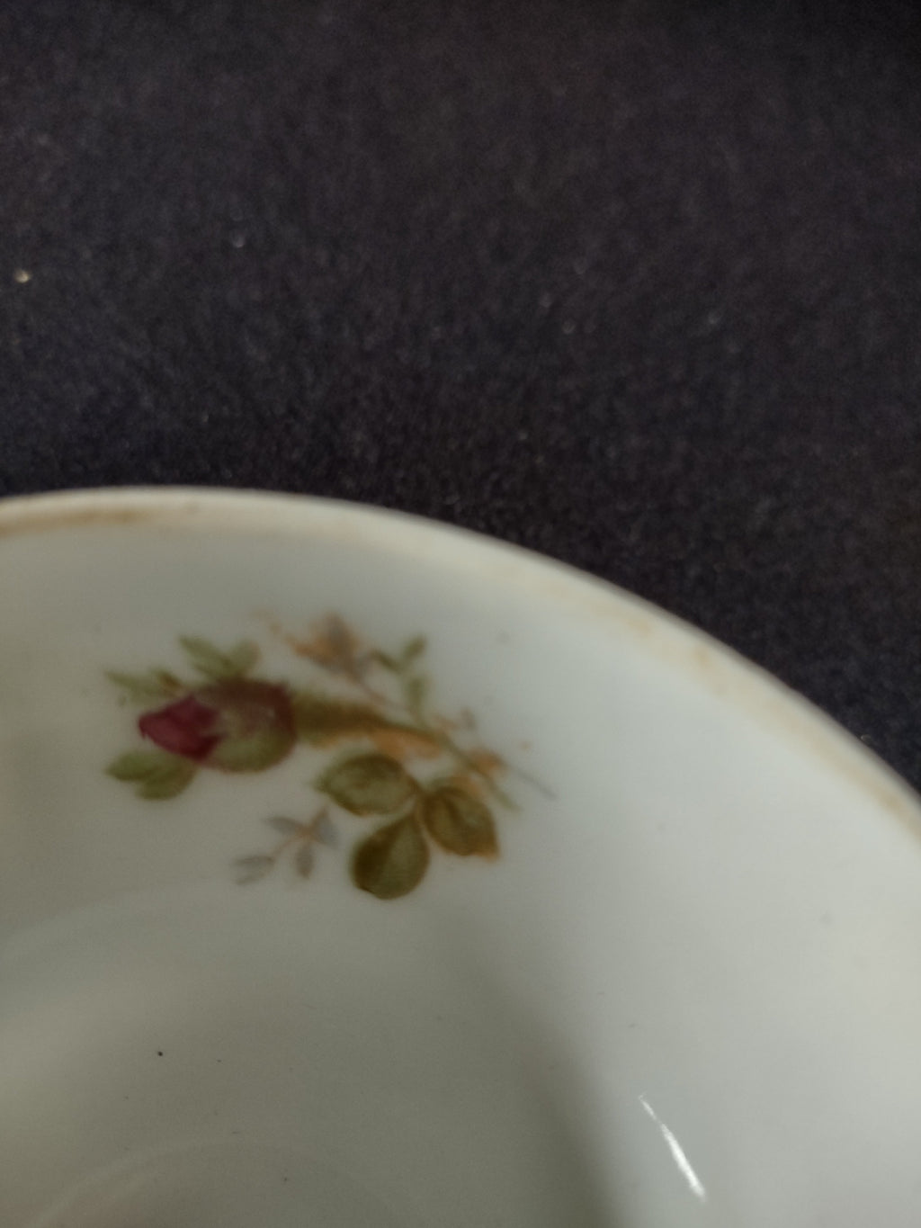 Vintage Wunsiedel Bavaria Moss Rose Tea Cup interior view from above