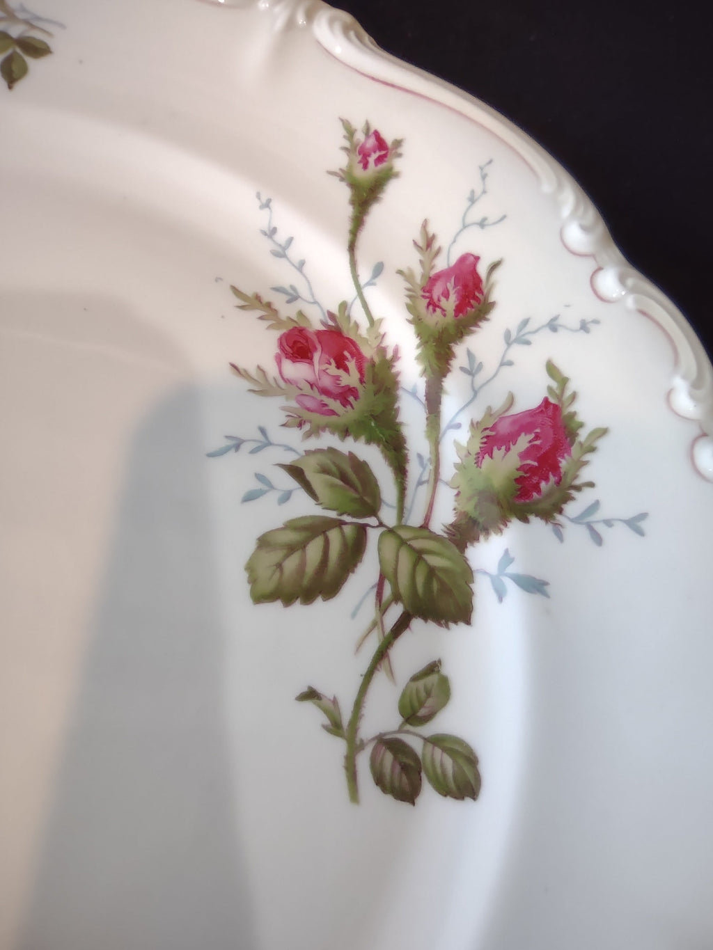 Rosenthal Moss Rose plate rim and rosebud scatter detail