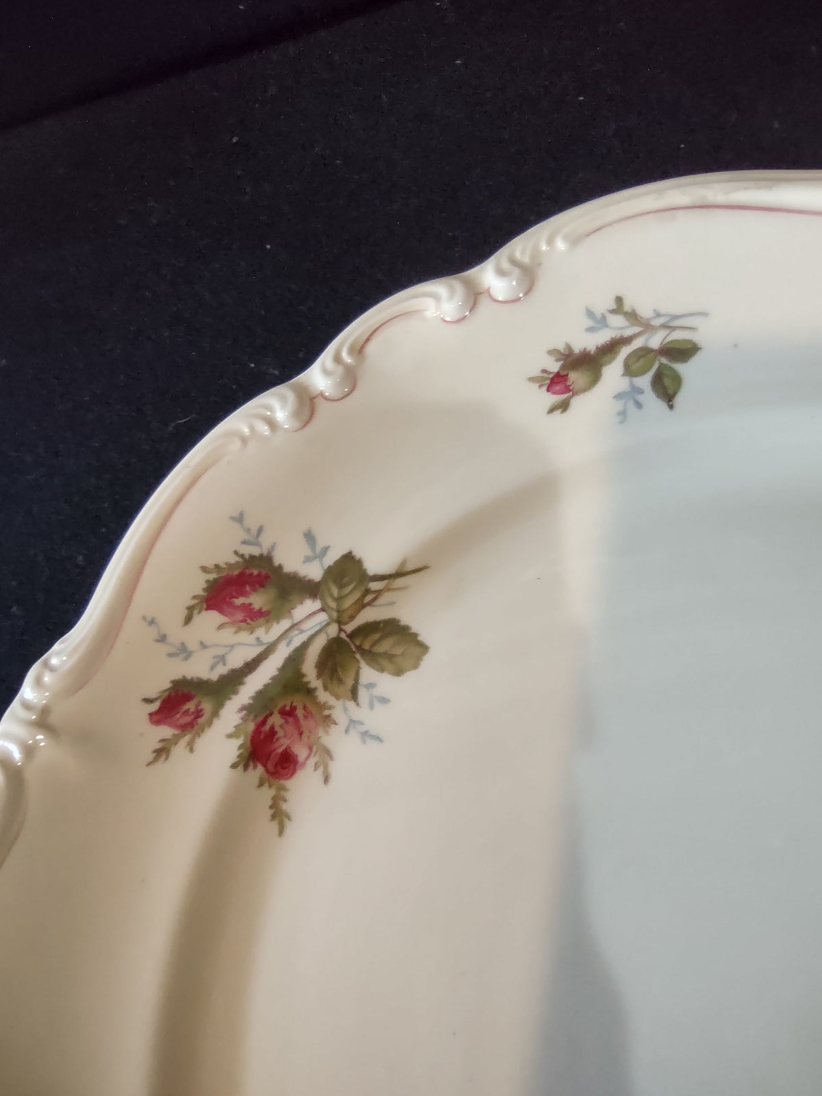 Rosenthal Moss Rose plate lower rim rosebud detail
