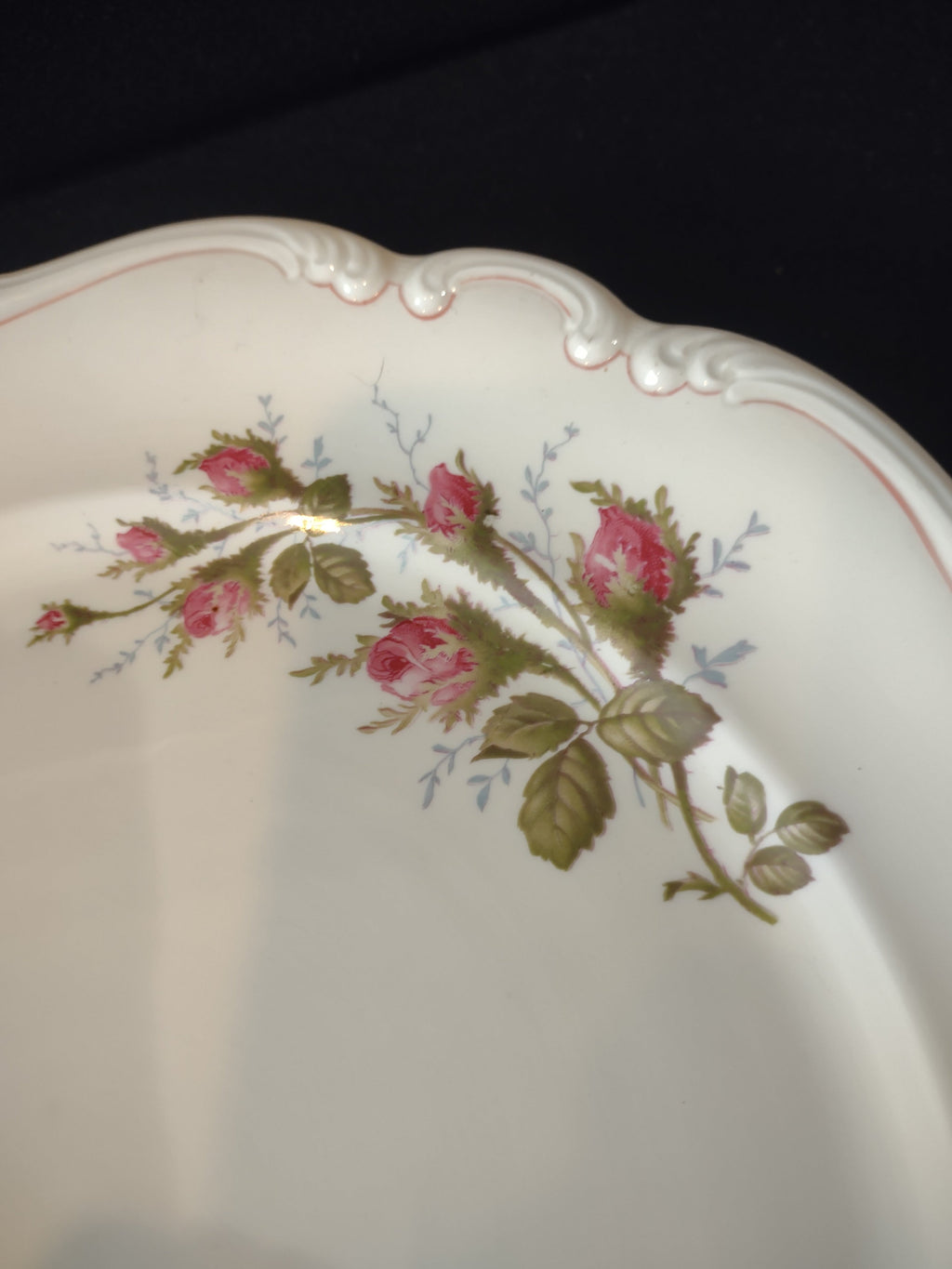 Vintage Rosenthal Pompadour Pink Rosebud Plate - full overhead view