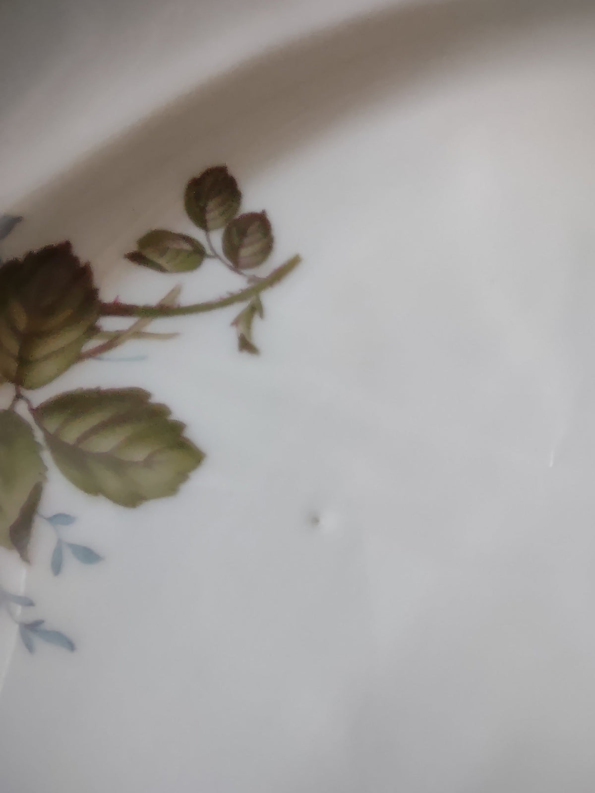 Rosenthal Moss Rose oval platter - backstamp