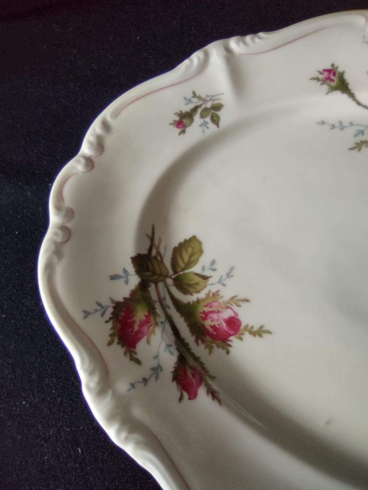 Rosenthal Moss Rose oval platter - rim scrollwork detail