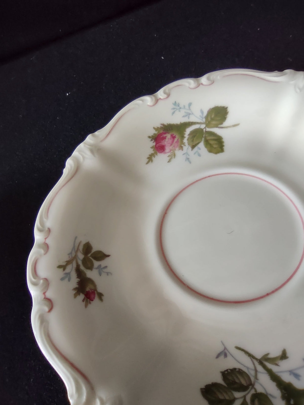 Rosenthal Pompadour Moss Rose set detail