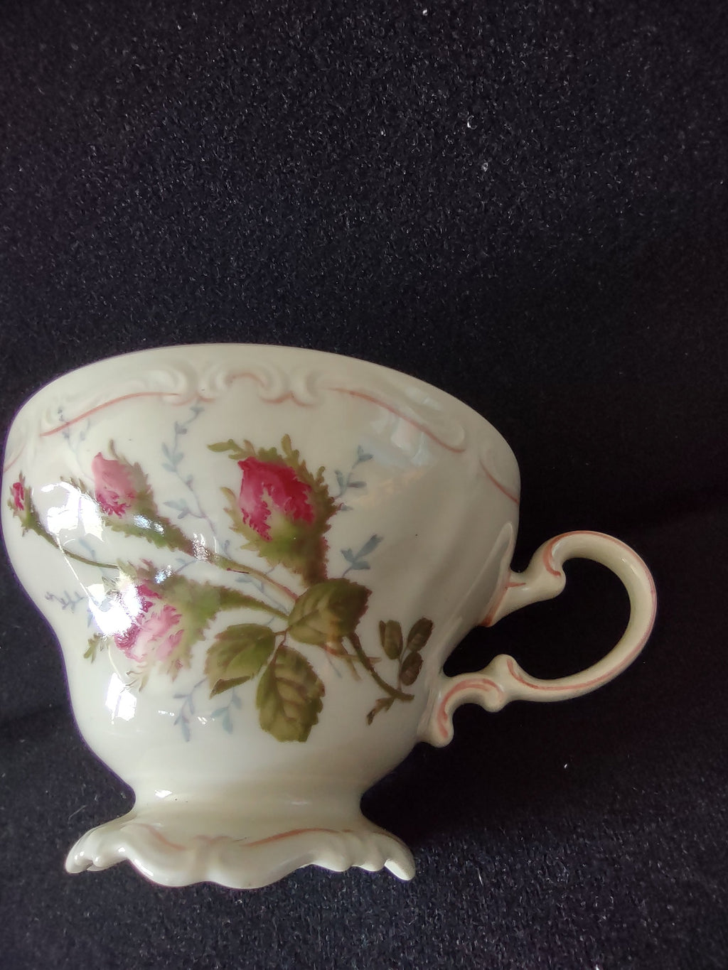 Rosenthal Pompadour Moss Rose cup interior view