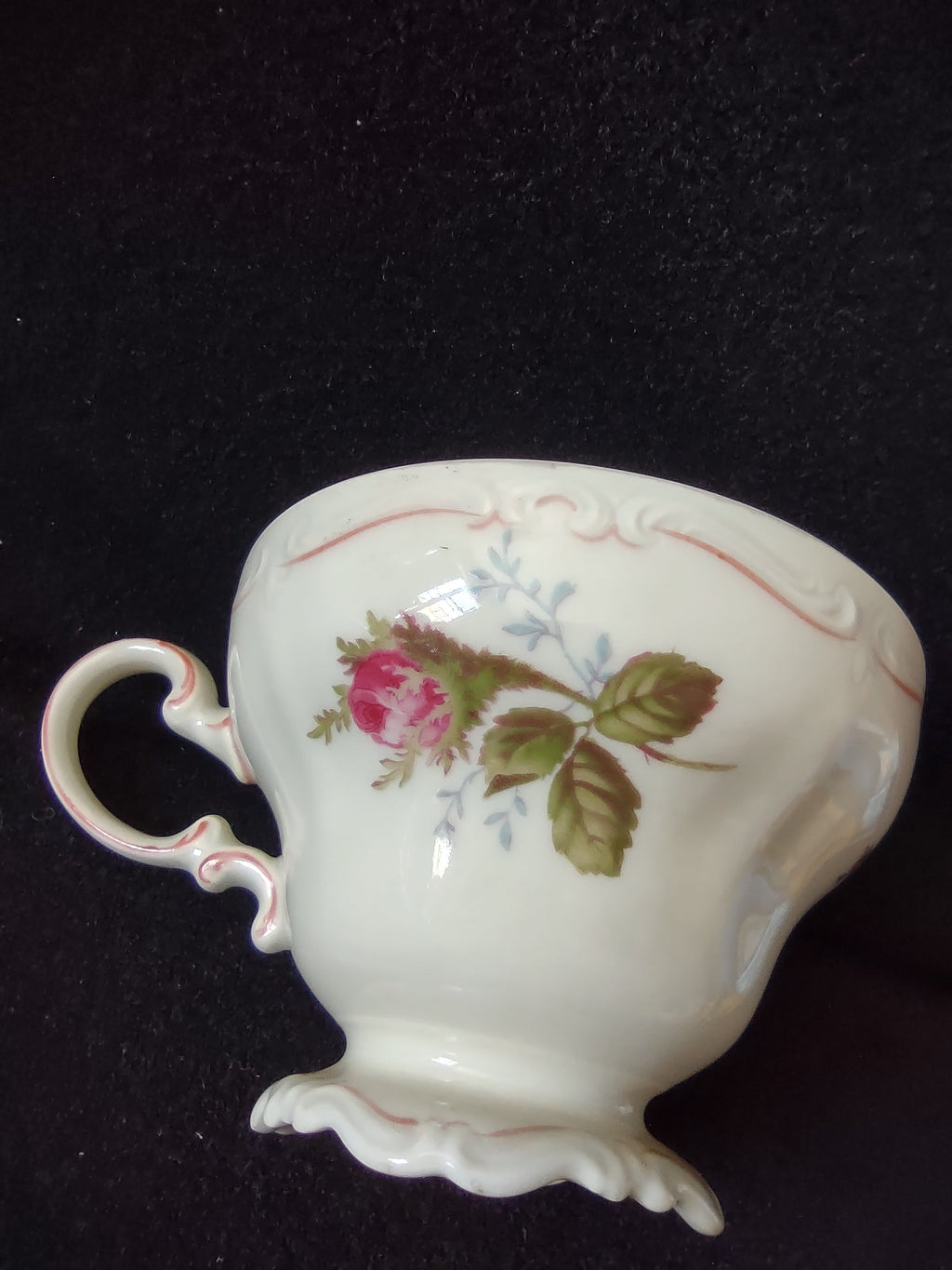 Rosenthal Pompadour Moss Rose cup front view