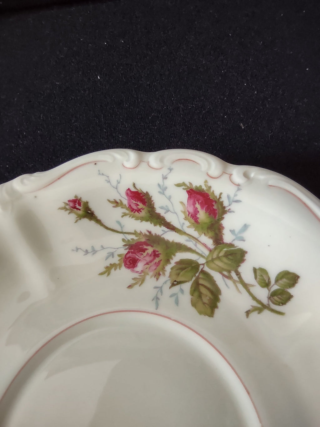 Rosenthal Pompadour Moss Rose cream soup cup front view