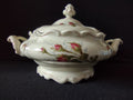 Vintage Rosenthal Pompadour Moss Rose Covered Soup Tureen Selb Germany [7358]