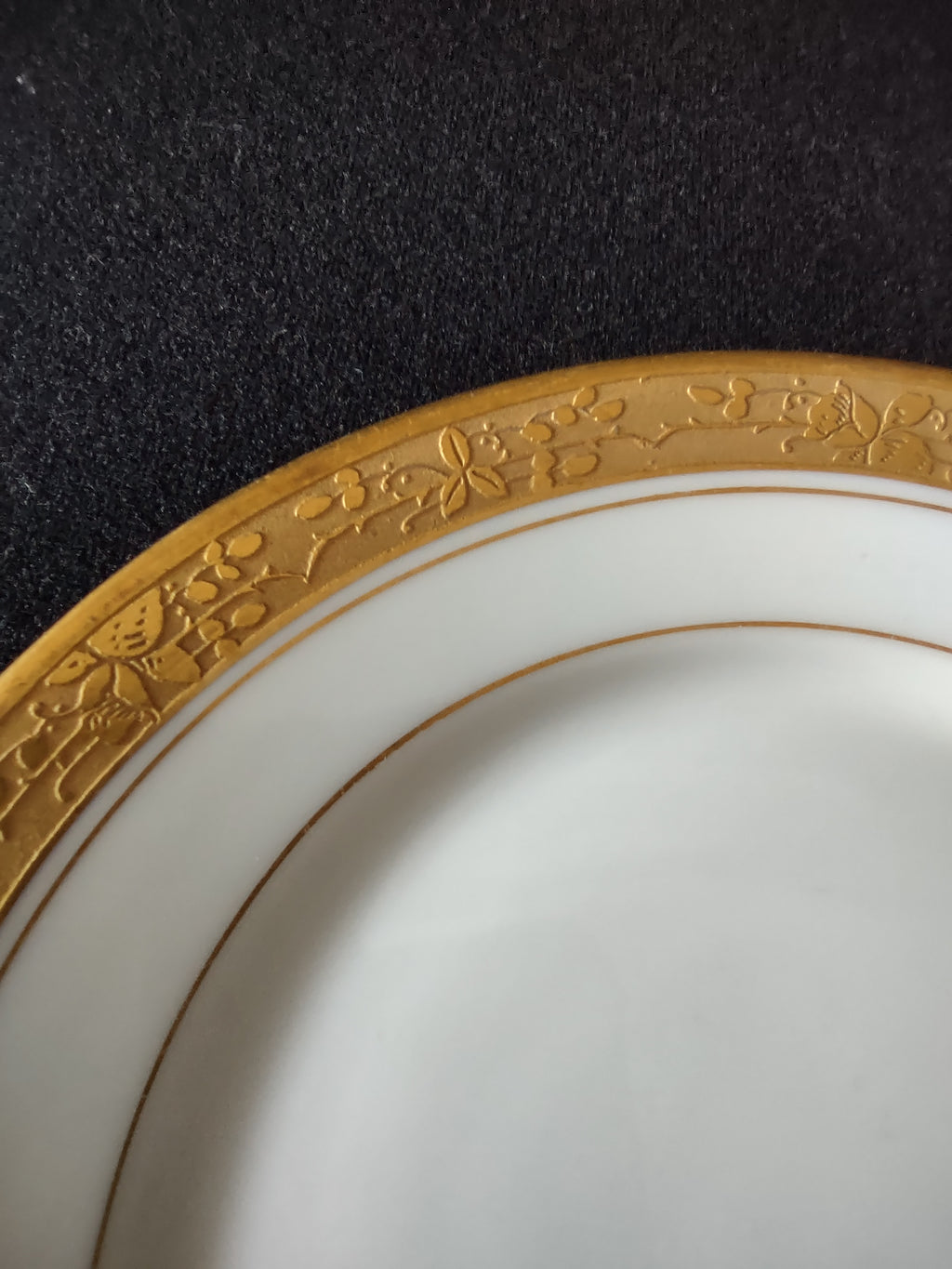 Vintage Hutschenreuther Selb Bavaria Gold Rim Encrusted Plate Set of 2 [7363]