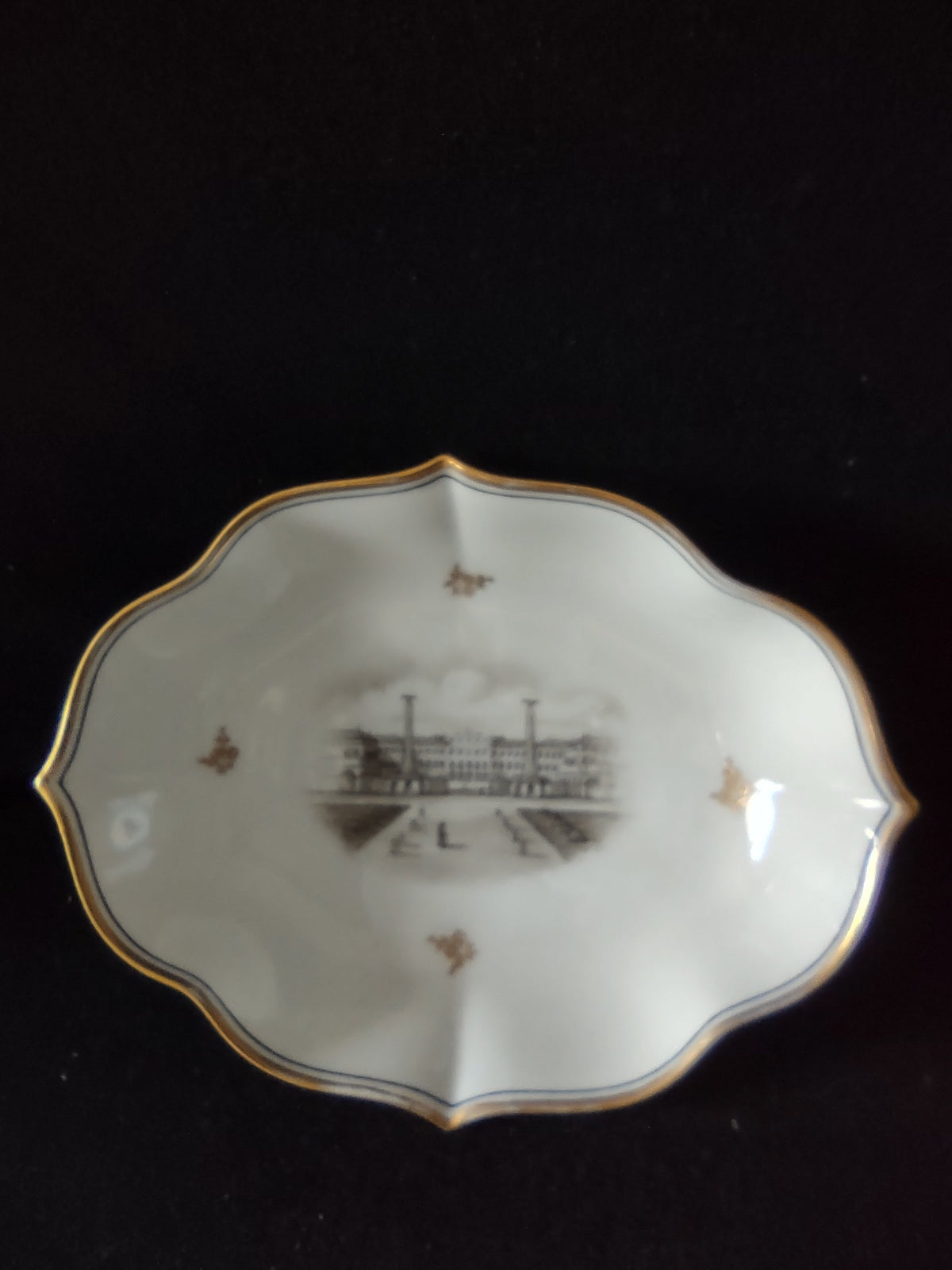 Vintage Schonbrunn Turn Teplitz Steam Locomotive Oval Dish - rim gold wear detail
