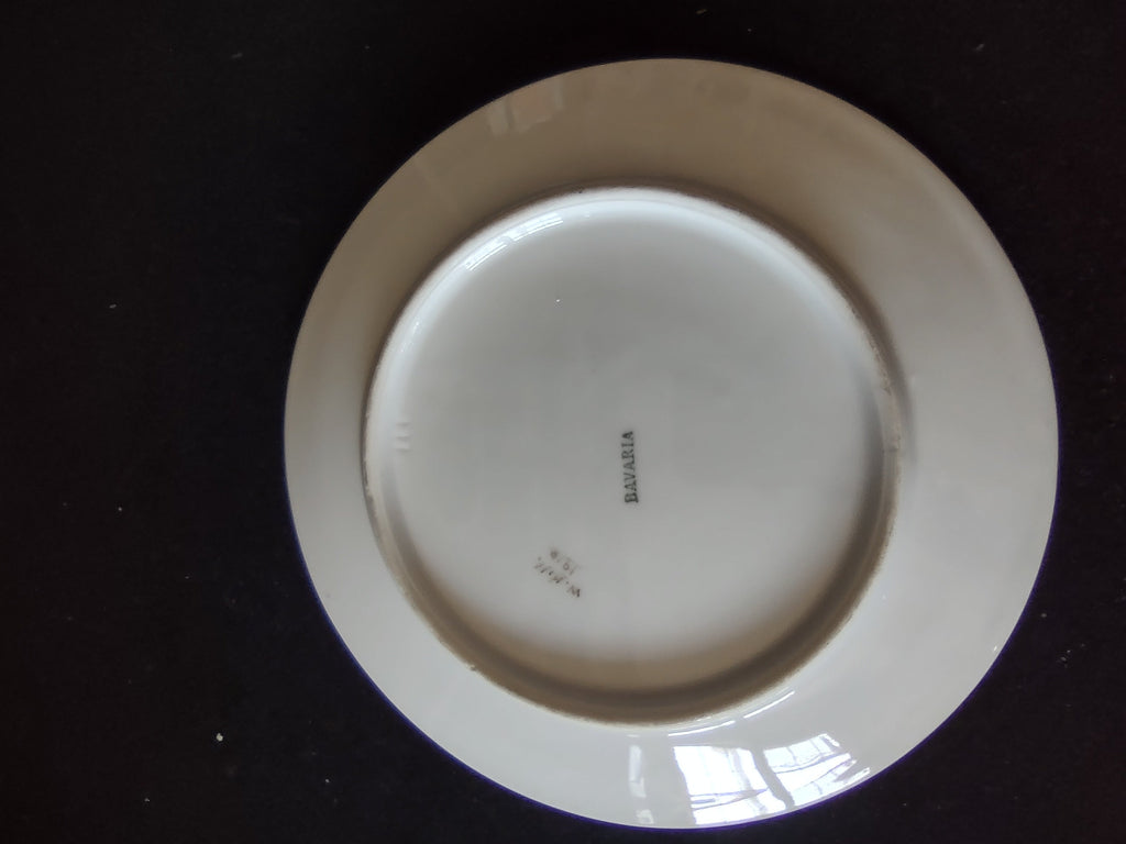 Bavaria plate additional view