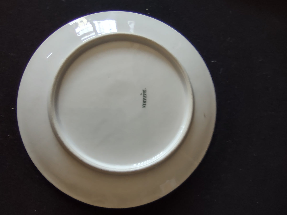 Bavaria plate additional view