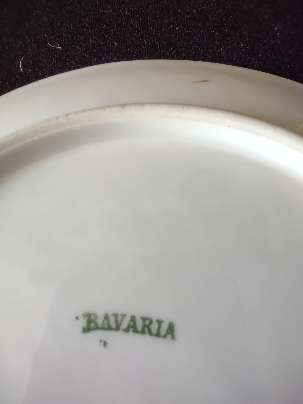 Bavaria plate additional view