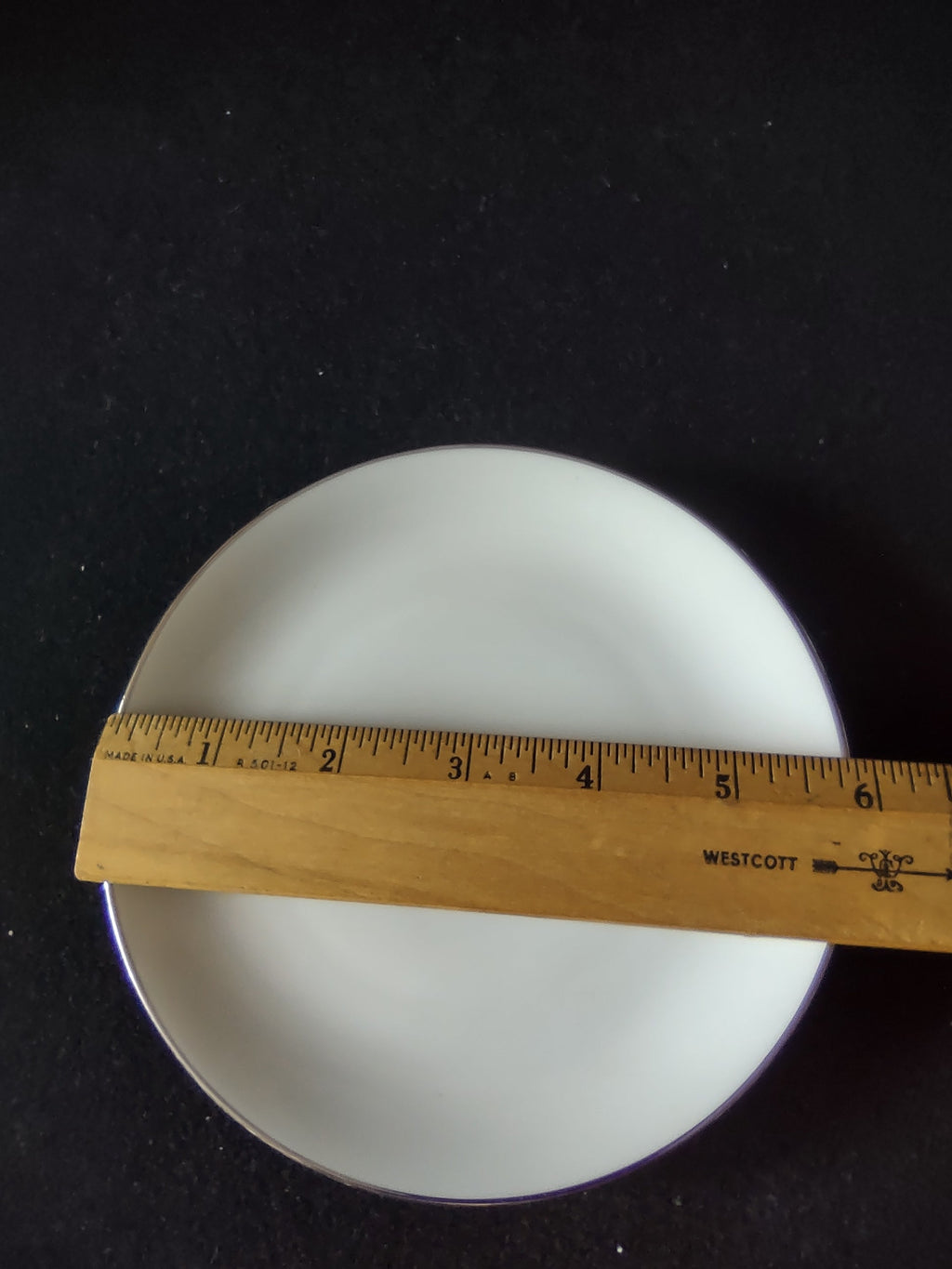 Johann Haviland Bavaria Germany platinum line plate - size measurement with ruler