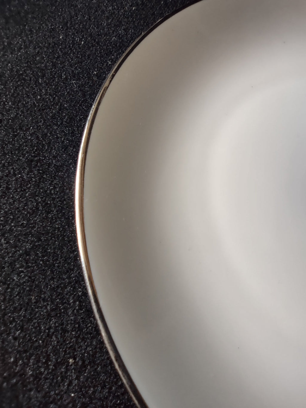 Johann Haviland Bavaria Germany platinum line plate - rim platinum line close-up