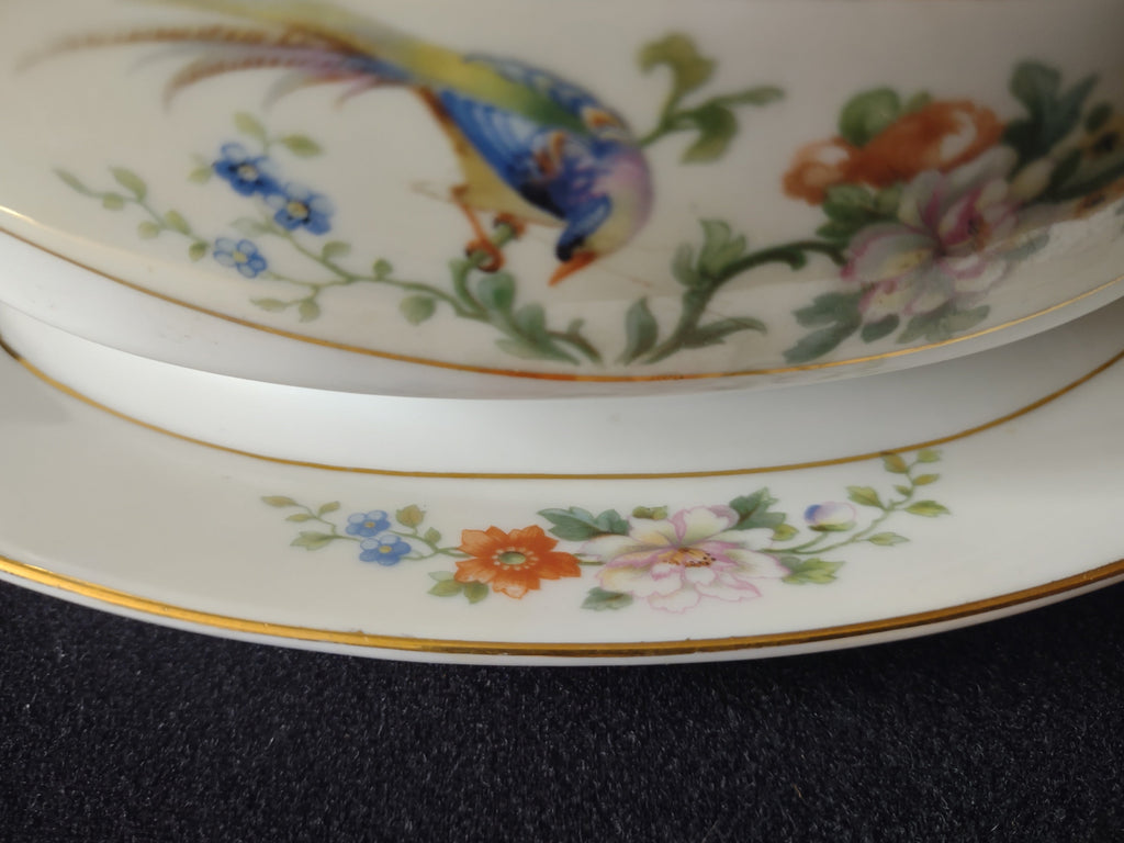 Haviland Limoges underplate floral detail