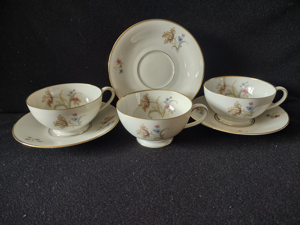 PT Tirschenreuth wildflower cup and saucer - front view showing pattern