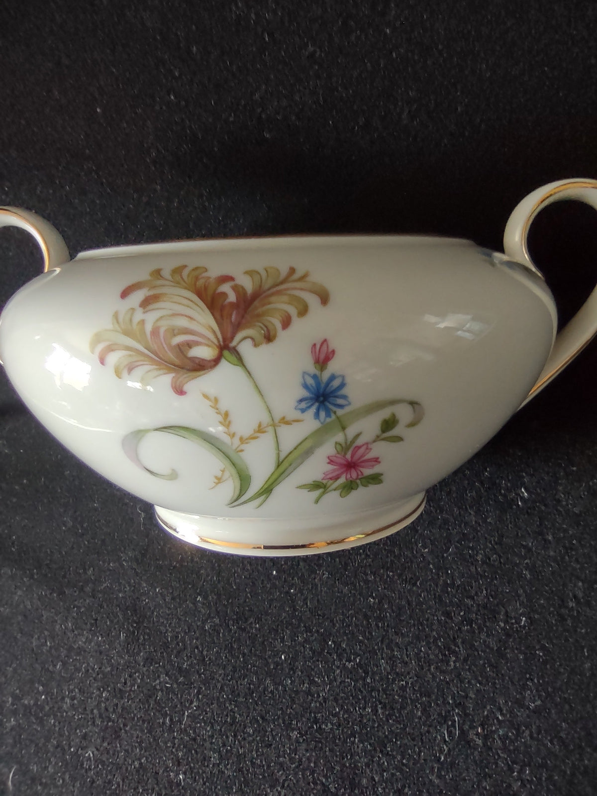 PT Tirschenreuth #996 sugar bowl - side view showing feathery carnation pattern detail