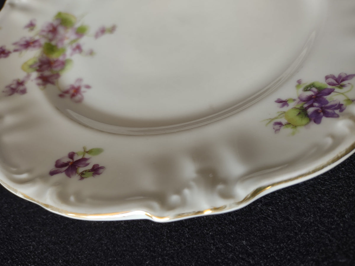 Winterling Germany violet plate - rim detail showing embossed relief border and scattered violets
