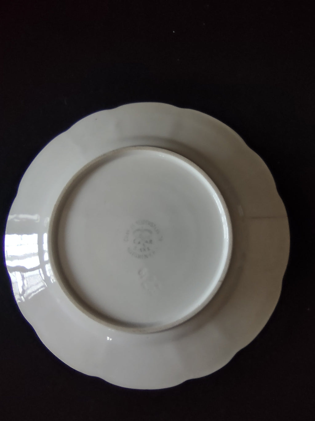 Hand painted mixed floral plate - additional rim detail with gold chevron fern band