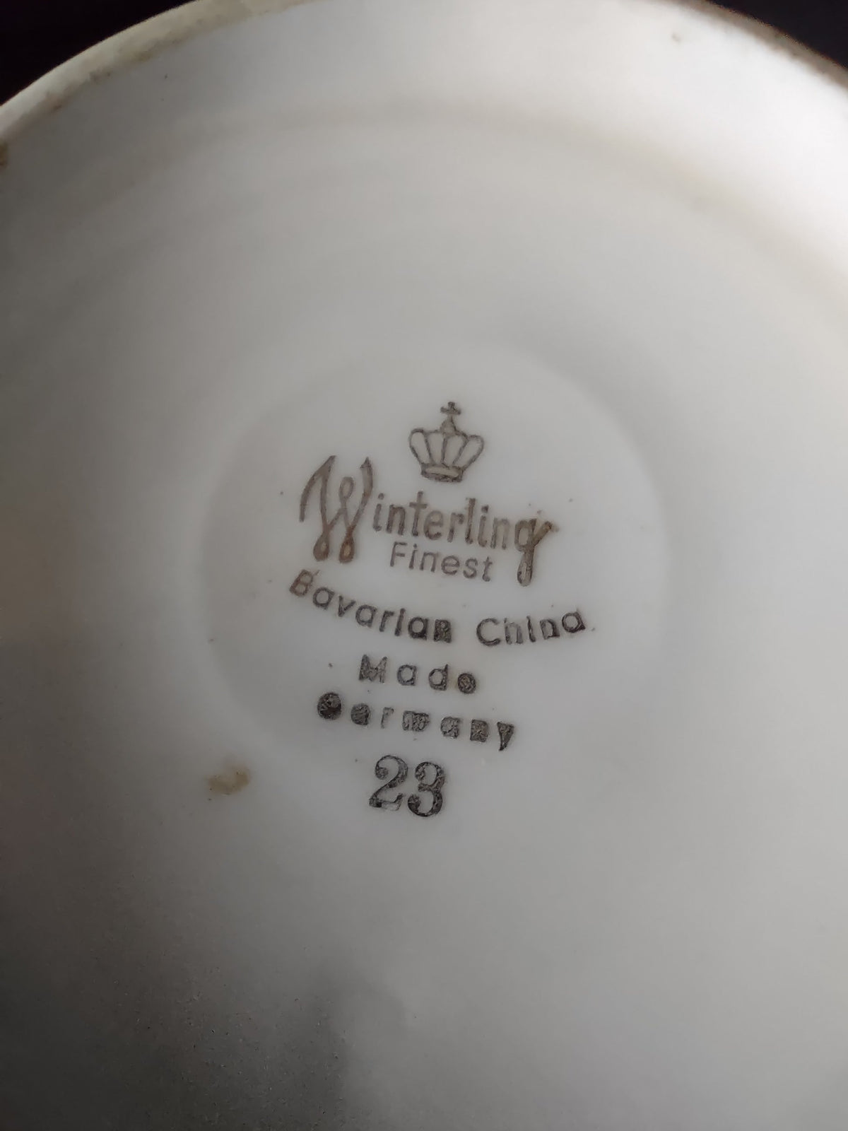 Winterling Bavarian China Silver Narcissus Coffee Pot - detail view