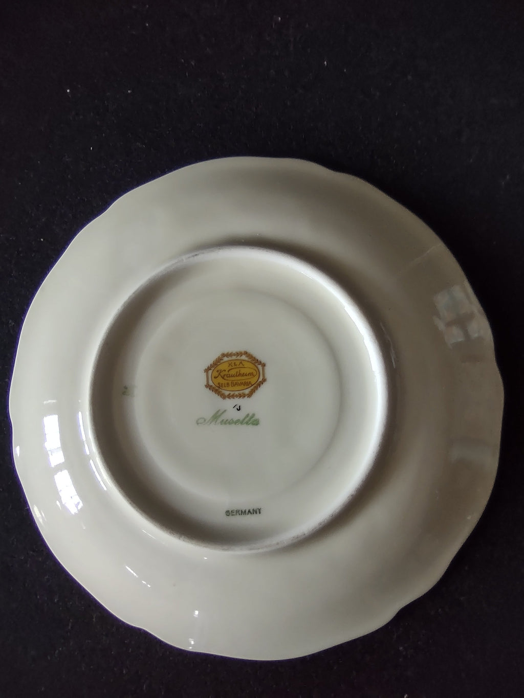 Hutschenreuther Murillo cup - close-up of multicolor floral bouquet on cup body