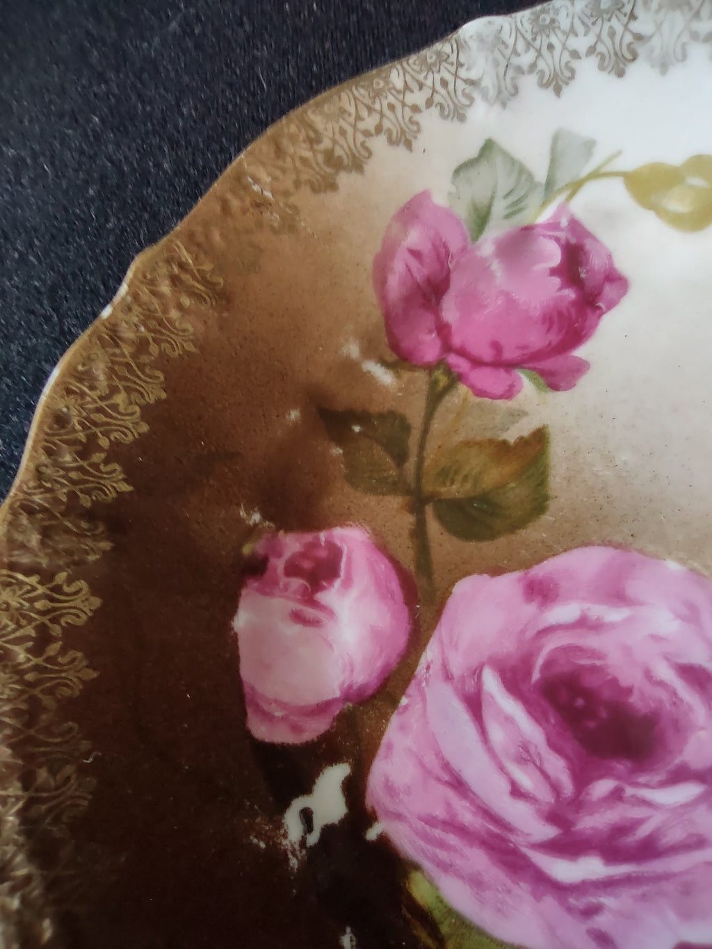 C.T. Carl Tielsch bowl - full interior view showing pink cabbage roses on brown and gold ground