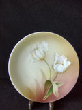 Vintage RS Germany Schlegelmilch plate top view with ruler showing approximately 6.5 inch diameter white tulips on cream to blush pink ground