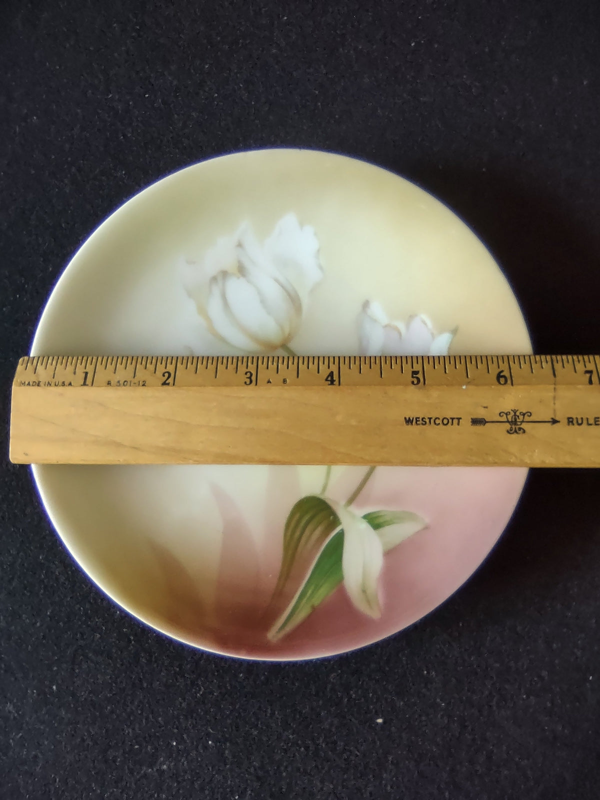 RS Germany Schlegelmilch plate close-up of two white tulip blooms one open one bud on slender stem against warm cream ground