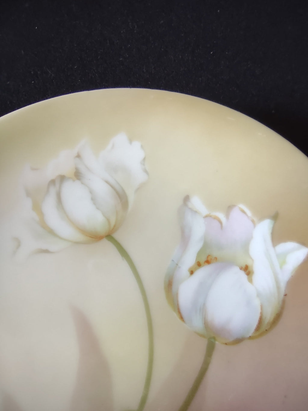 RS Germany Schlegelmilch plate close-up of lower half showing broad variegated green leaf and second white tulip bloom against blush rose pink border