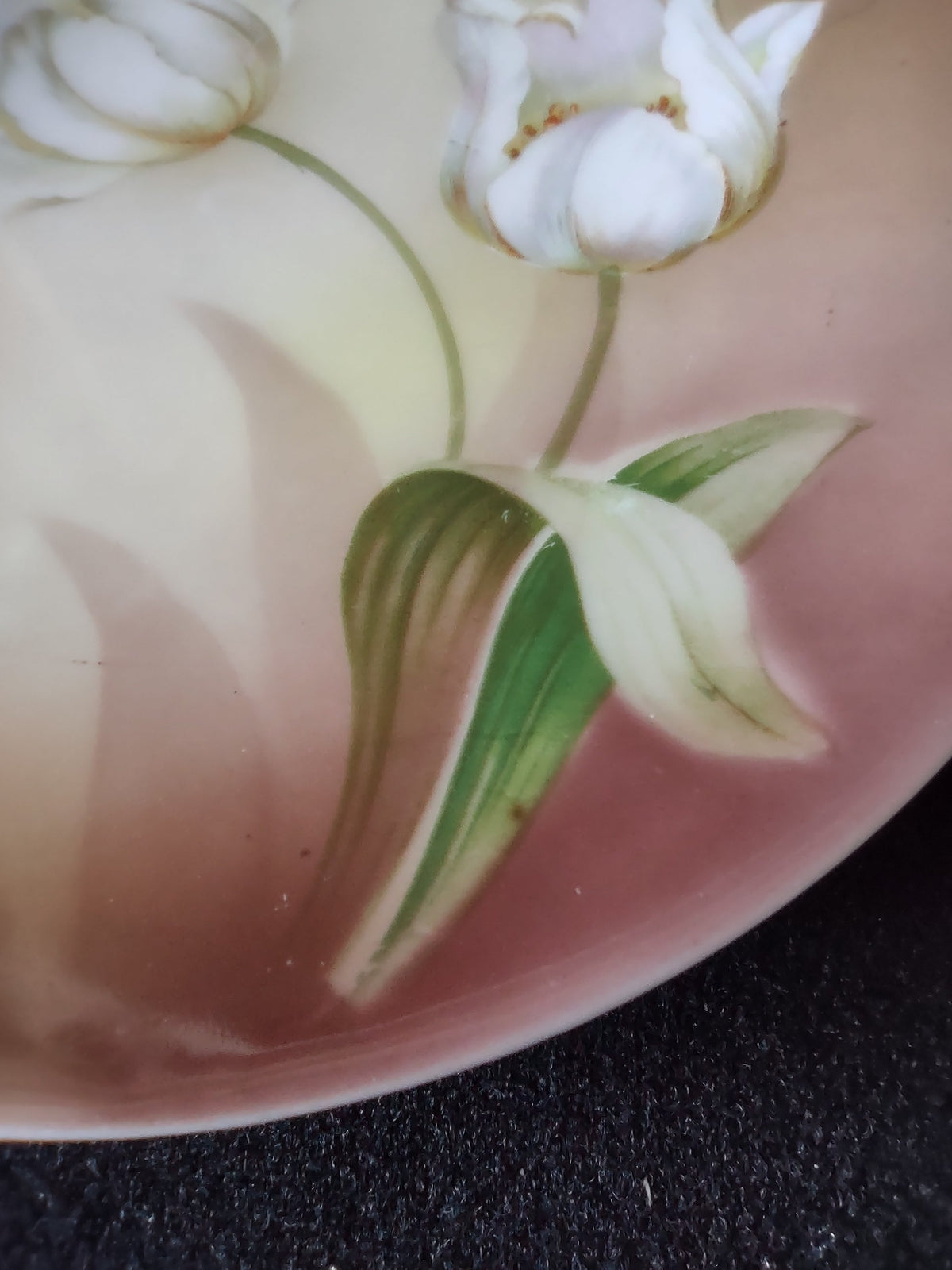 RS Germany Schlegelmilch plate angled three-quarter view showing graduated cream to blush pink ground white tulips and smooth unembossed rim
