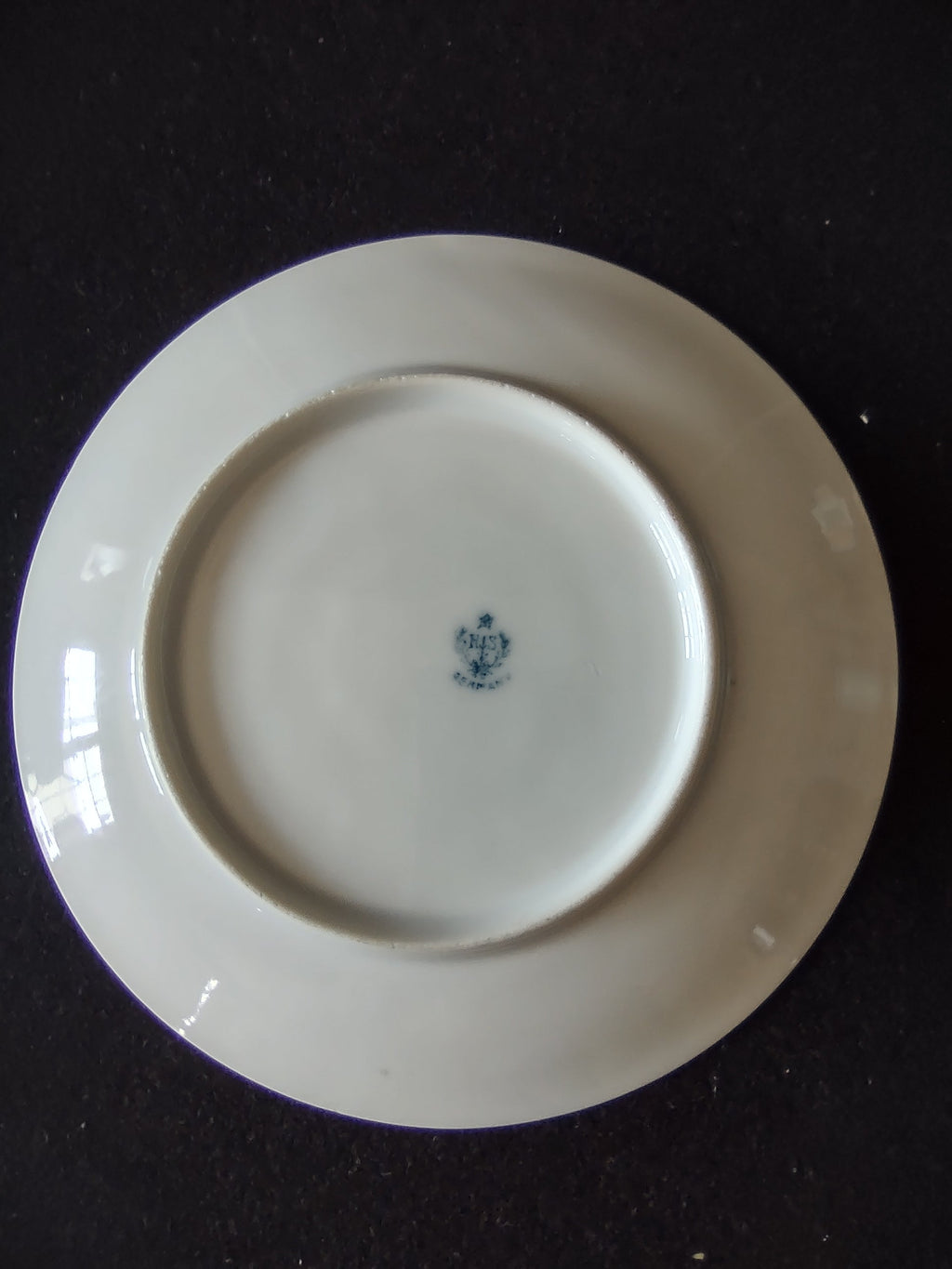 RS Germany crown backstamp close-up in teal blue-green showing RS mark and GERMANY below on white porcelain