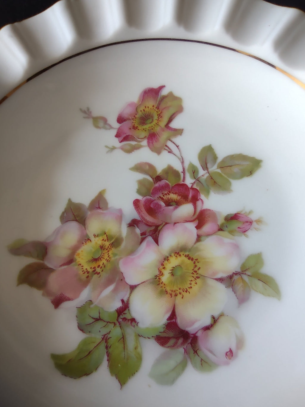 Schumann Arzberg Wild Rose plate three-quarter view from above showing full floral spray composition scalloped rim and gold rim line on off-white ground