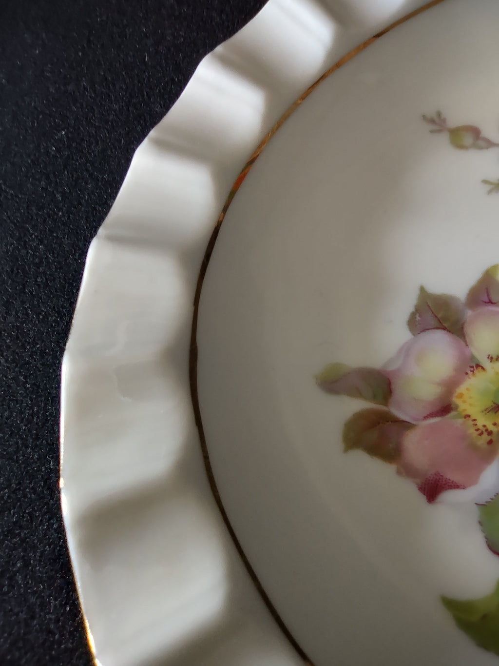 Schumann Arzberg Wild Rose plate close-up of right side showing gold inner rim line and raised vertical rib scalloped rim detail on off-white ground