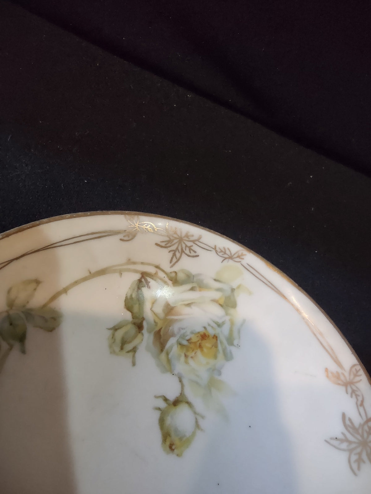 C Tielsch Altwasser plate close-up of cream cabbage rose cluster with buds and muted green leaves on white ground with gold vine border detail