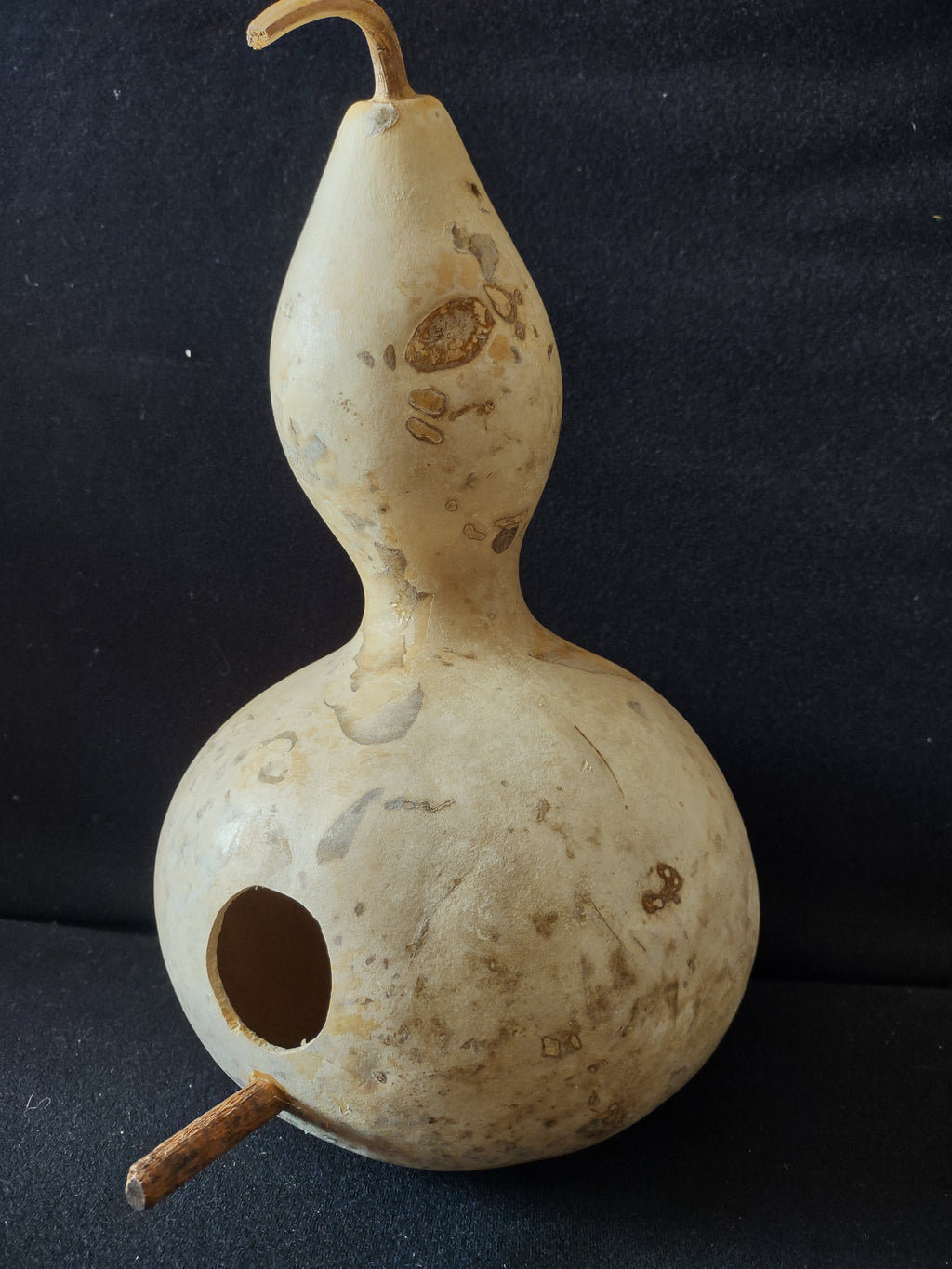 Vintage Natural Dried Birdhouse Gourd 12 Inch Bottle Gourd [8039n]