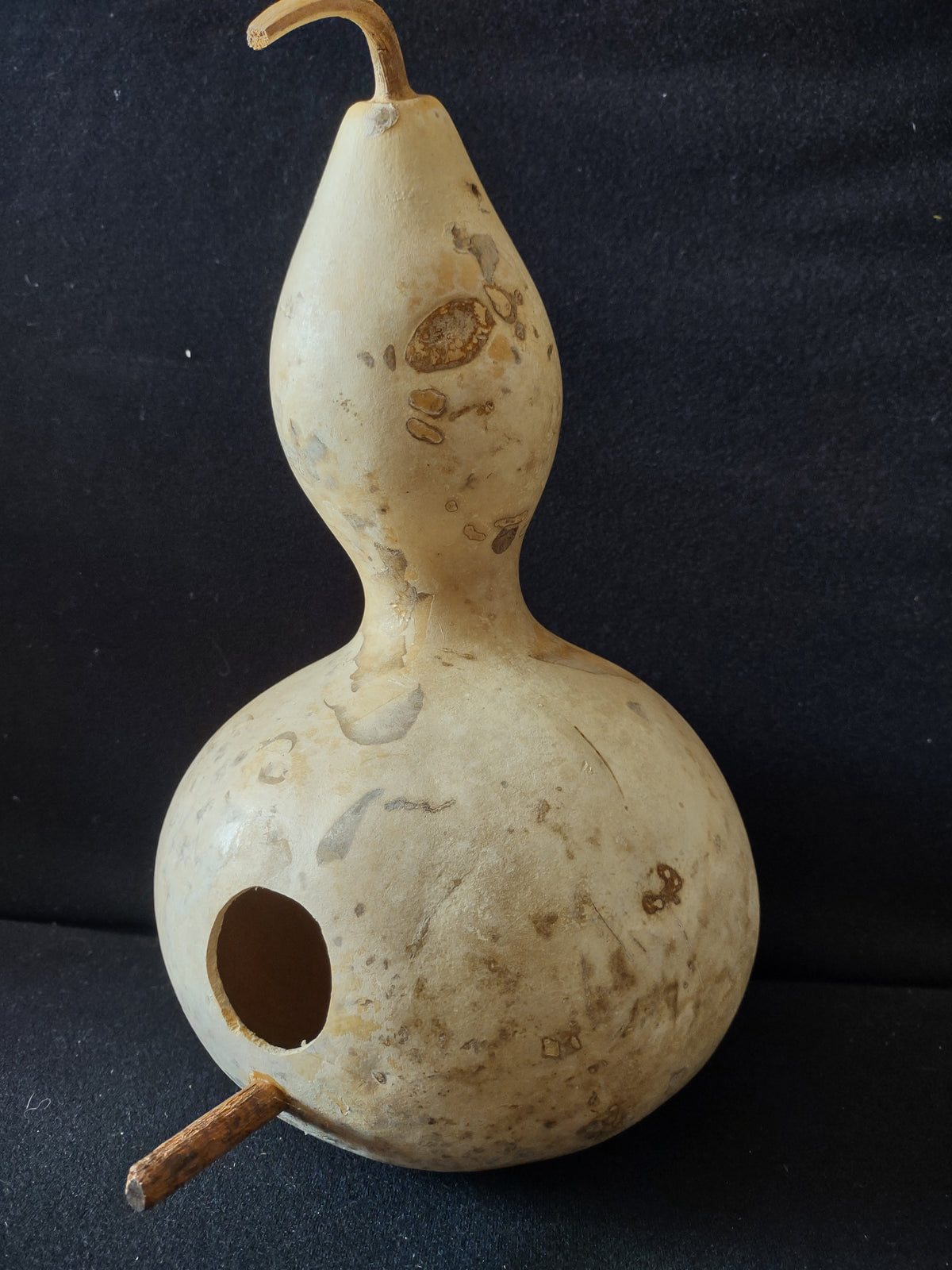 Vintage Natural Dried Birdhouse Gourd 12 Inch Bottle Gourd [8039n]