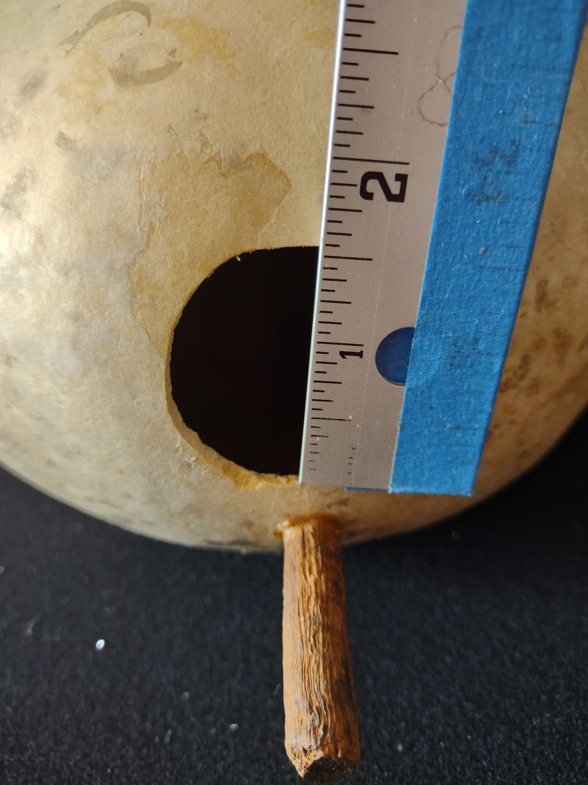 Vintage Natural Dried Birdhouse Gourd 12 Inch Bottle Gourd [8039n]