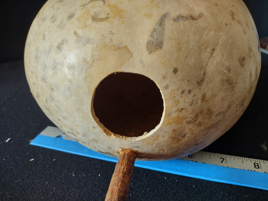 Vintage Natural Dried Birdhouse Gourd 12 Inch Bottle Gourd [8039n]