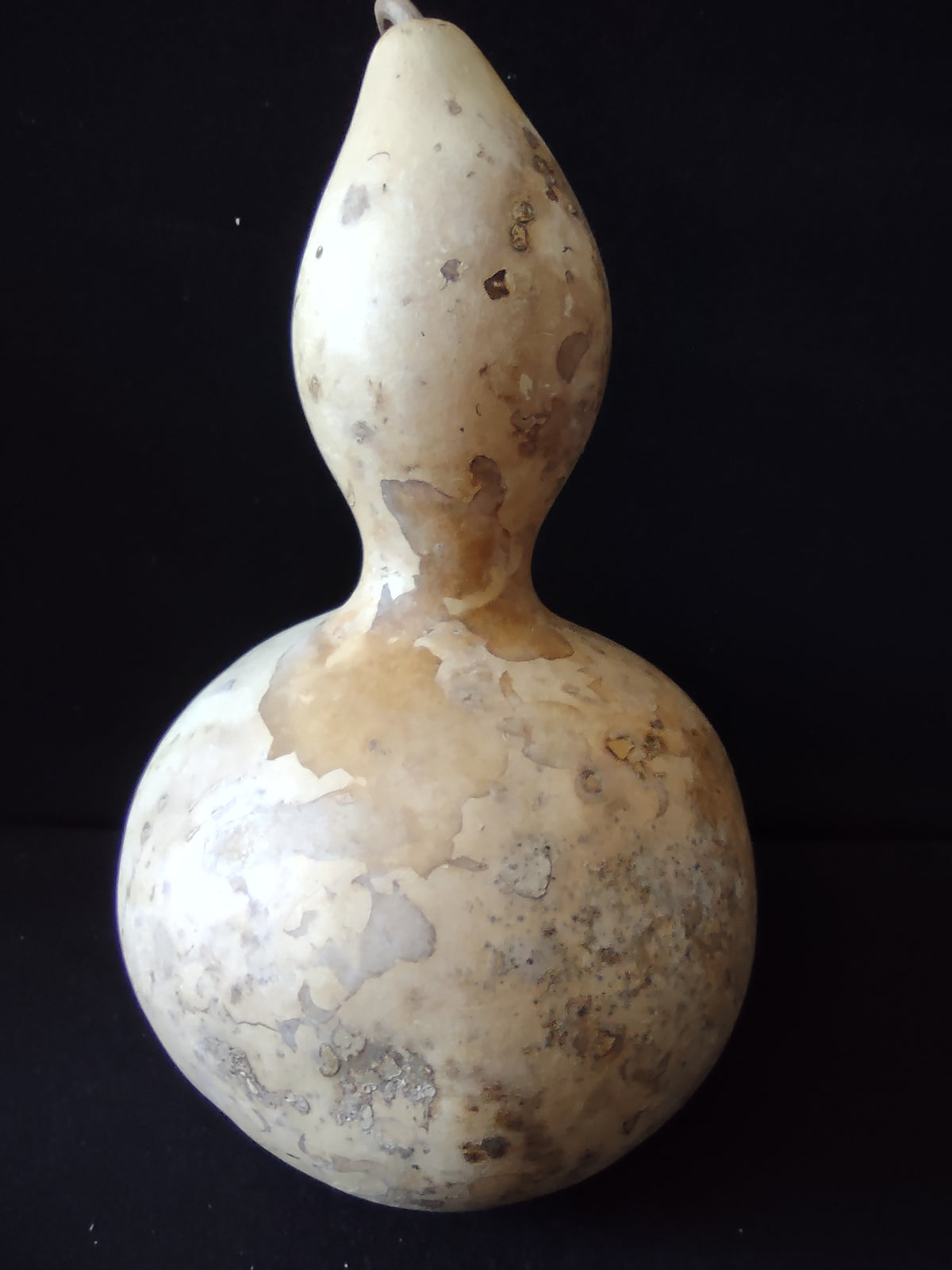 Vintage Natural Dried Birdhouse Gourd 12 Inch Bottle Gourd [8039n]