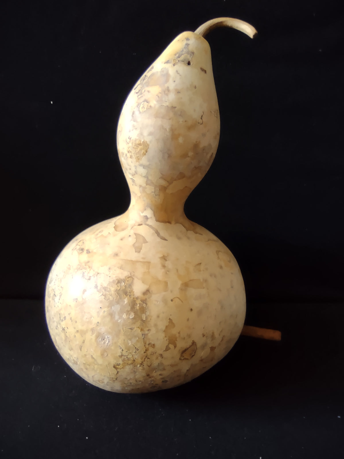 Vintage Natural Dried Birdhouse Gourd 12 Inch Bottle Gourd [8039n]