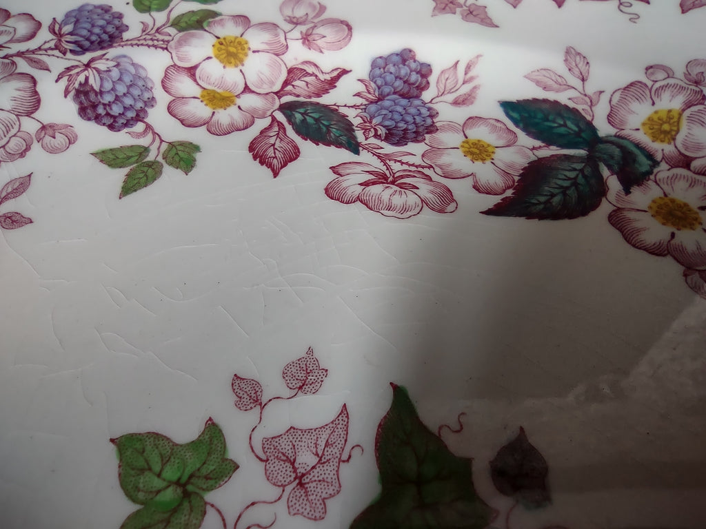 Vintage Copeland Spode Blackberry Floral Plate Pink Purple England [7459E]