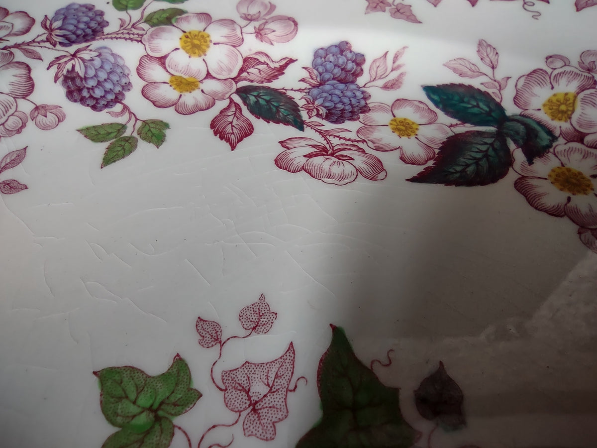 Vintage Copeland Spode Blackberry Floral Plate Pink Purple England [7459E]